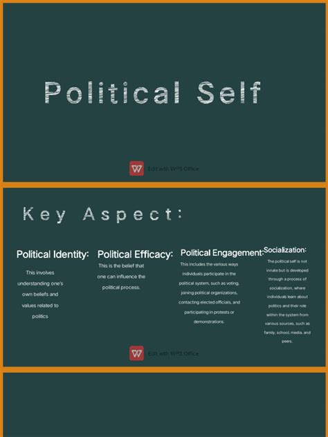 Political Self Example 的图像结果