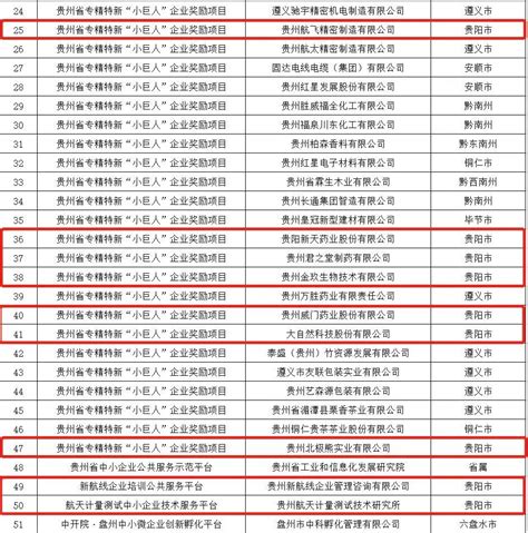 贵州省2022年第3批拟入库科技型中小企业名单公示-科技型中小企业服务