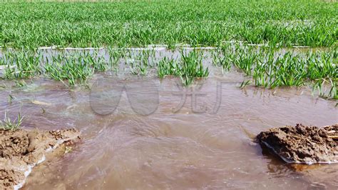 开屏新闻-农田灌溉惜水，云南去年比前年节约了9200万立方米