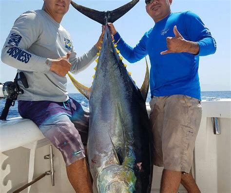ARMADA SPORTFISHING (2026) All You Need to Know BEFORE You Go (with ...