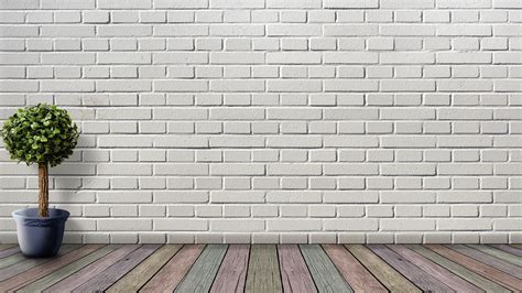 La Pared Or El Pared at Martha Cannon blog