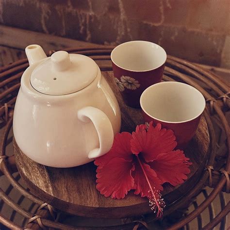 NAWA WELLNESS, CALATAGAN (Batangas) - Hotel Reviews, Photos, Rate ...