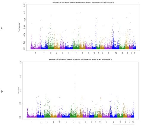 Weighted Single-Step Genomic Best Linear Unbiased Prediction Method ...