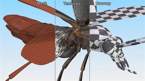 Big Dipper Firefly Basic Pose 3D model | 3D Molier International