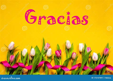 Tulip In Spanish Plural at Ida Barrera blog