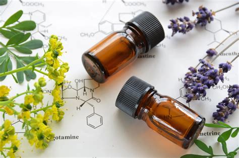 Aromatherapy Classes 的图像结果