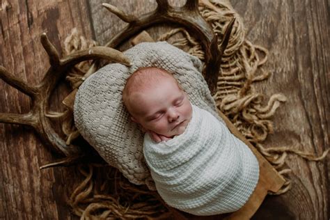 Image result for Wood Backdrop