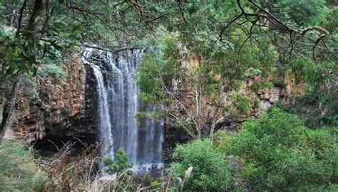 Waterfalls In Melbourne: 6 Wonders Of Nature In Australia