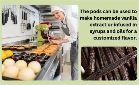 EXCELLENT FOODS - Madagascar Vanilla Beans/Pods, 25 grams : Amazon.in ...