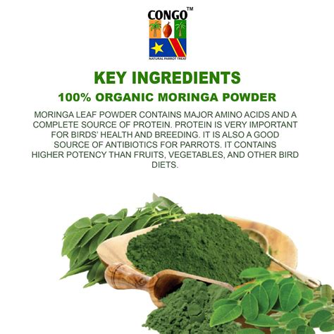 Congo 100gm Moringa Powder to Provide Essential Proteins for Budgies ...