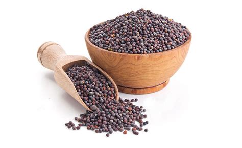 Specialized Products - Trade Agency Division, B2B (Distribution and ...