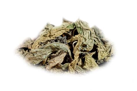 Wild Harvested Dried St Johns Bush - Juste Industries