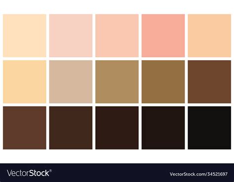Image result for Skin Color RGB