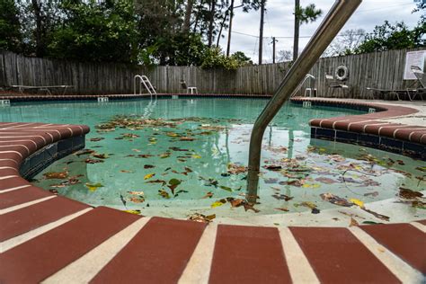 Image result for Mid-Spring Pool Not