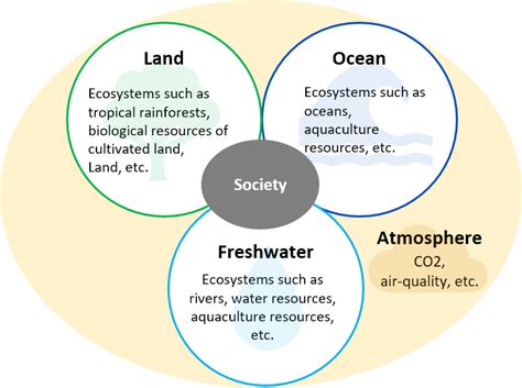 Environment 的图像结果