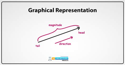 Image result for Vector Physics Problems