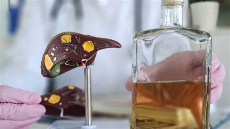 Enzyme Blocker Cuts Alcohol Cravings and Prevents Liver Damage in New ...
