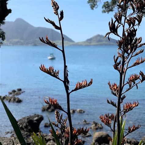 BREAM HEAD COAST WALKS (2025) All You Need to Know BEFORE You Go (with ...