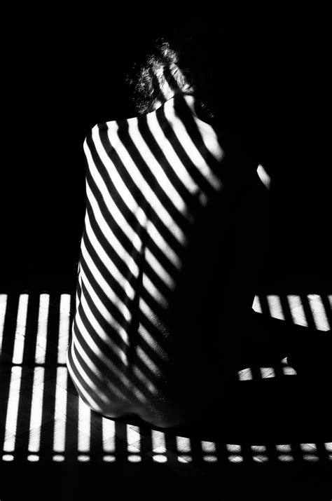 Stripes II - Limited Edition of 6 Photography by Moving Elephant By Mark | Saatchi Art