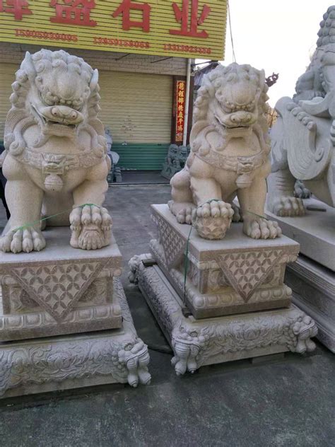 泉州福狮：从形象元素到文化标识_石狮_狮子_中国