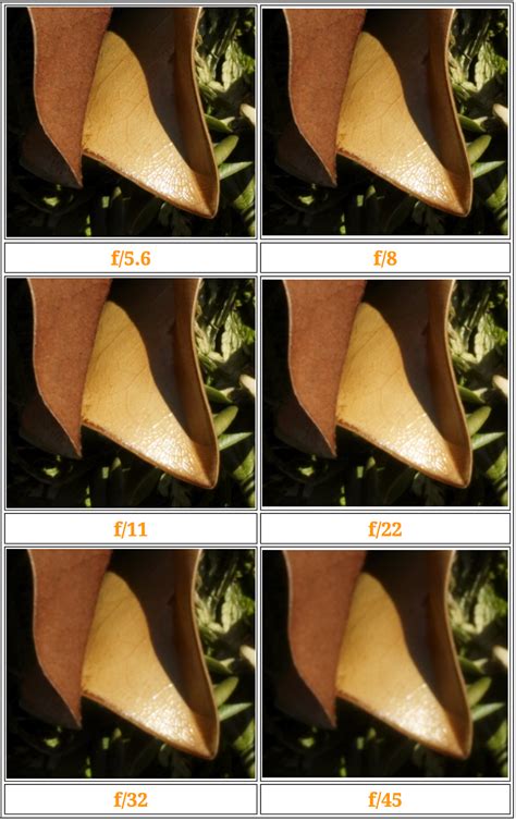 Image result for Light Diffraction Glass Lens