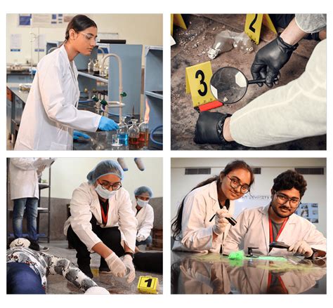 M.Sc. Forensic Science Course, Fees | M.Sc. College in Gurugram