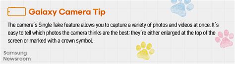 [Capture the World With Galaxy S21] Celebrating Our Essential Furry ...