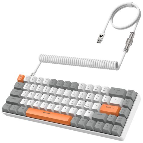 Amazon.in: Buy ZIYOU LANG RK-T8 Wired 65% Mechanical Gaming Keyboard ...