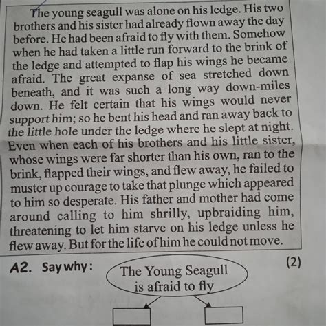 say why:-the young seagull s afraid to fly - Brainly.in