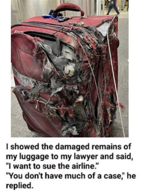 Well in that case. : r/PunPatrol