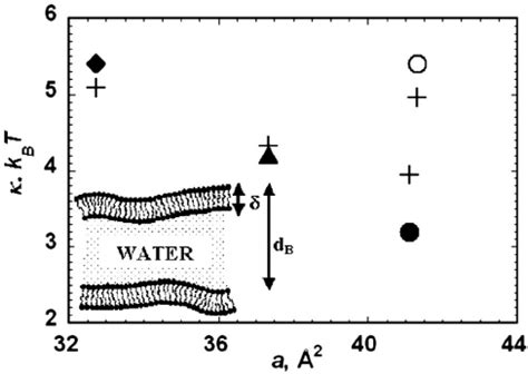 Image result for G Water Binary Module