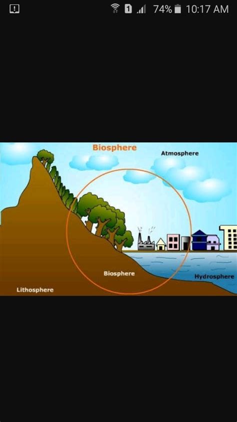 define biosphere with diagram - Brainly.in