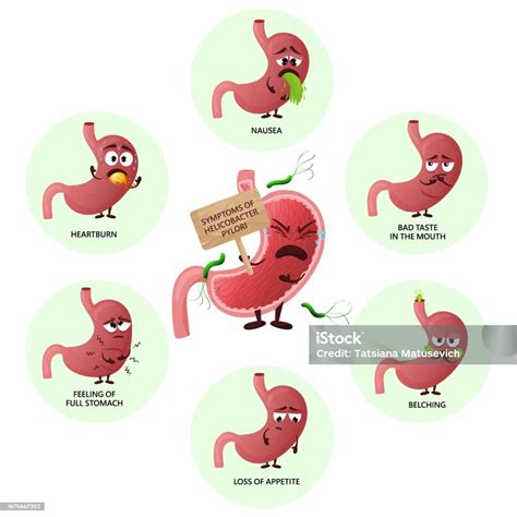 Helicobacter Pylori Infection Symptoms Infographic With Cartoon Stomach Characters Stock ...