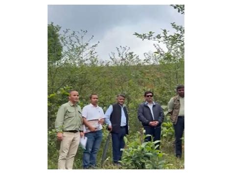 Meghalaya employs Miyawaki Forest method in its afforestation effort