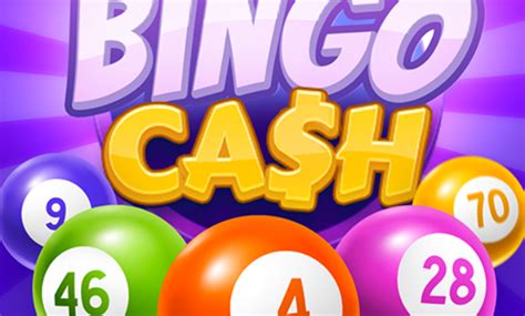 bingo 101 cash teenpatti platform