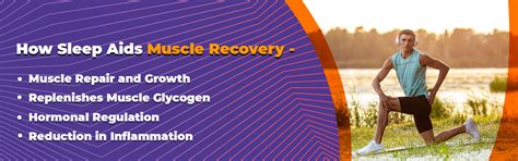 The importance of sleep in fitness and muscle recovery