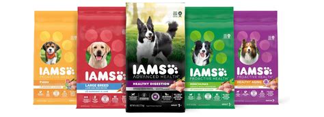 Iams ProActive Health Adult MiniChunks Dry Dog Food (Free Shipping) | Chewy