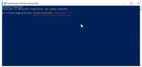 Disable BitLocker Windows 11 Home 的图像结果