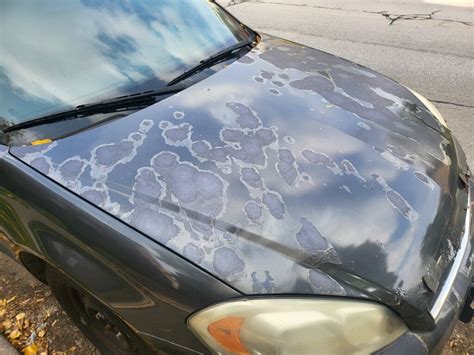 Image result for Using Clay Bar On Auto