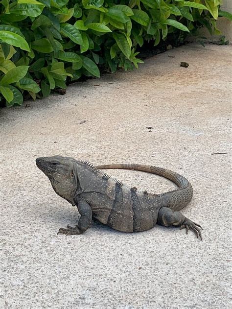 10 BEST Places to Visit in Costa Mujeres - UPDATED 2022 (with Photos ...