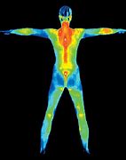 Image result for thermographs