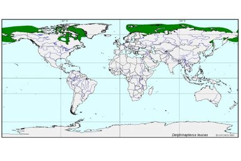 Image result for Examples of Companies That Use Python