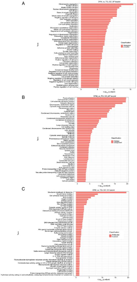 Image result for Go Annotation Analysis Step