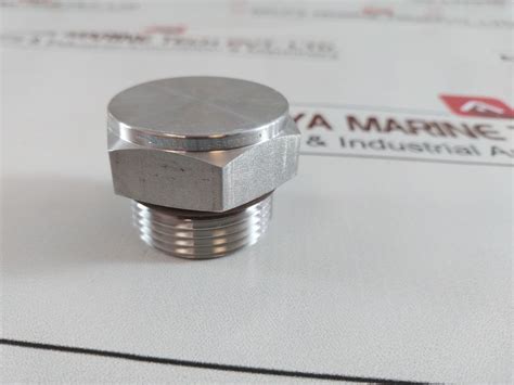 Swagelok Ss-16-pst Hex Head Plug – Aeliya Marine Tech