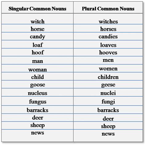 Singular and Plural Nouns: Definitions, Rules & Examples - ESLBUZZ