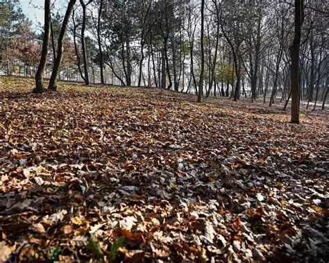 PEACE PARK (2025) All You Need to Know BEFORE You Go (with Photos ...