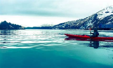 KAYAK KODIAK LLC (2026) All You Need to Know BEFORE You Go (with Photos ...