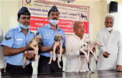 Indian Air Force forms first canine squad, will guard Air Base | Indian ...