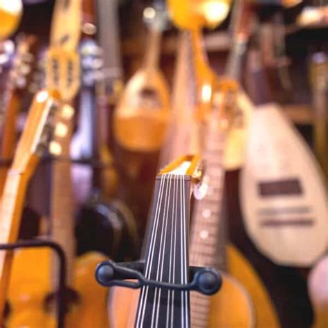 Image result for Four Stringed Instruments