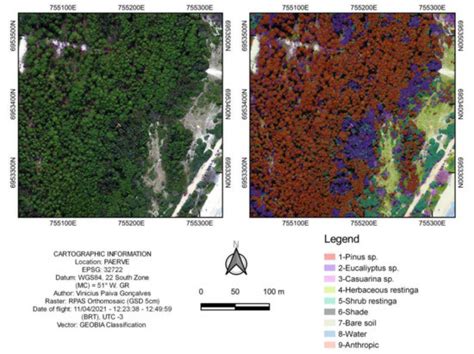 Mapping Areas Invaded by Pinus sp. from Geographic Object-Based Image ...